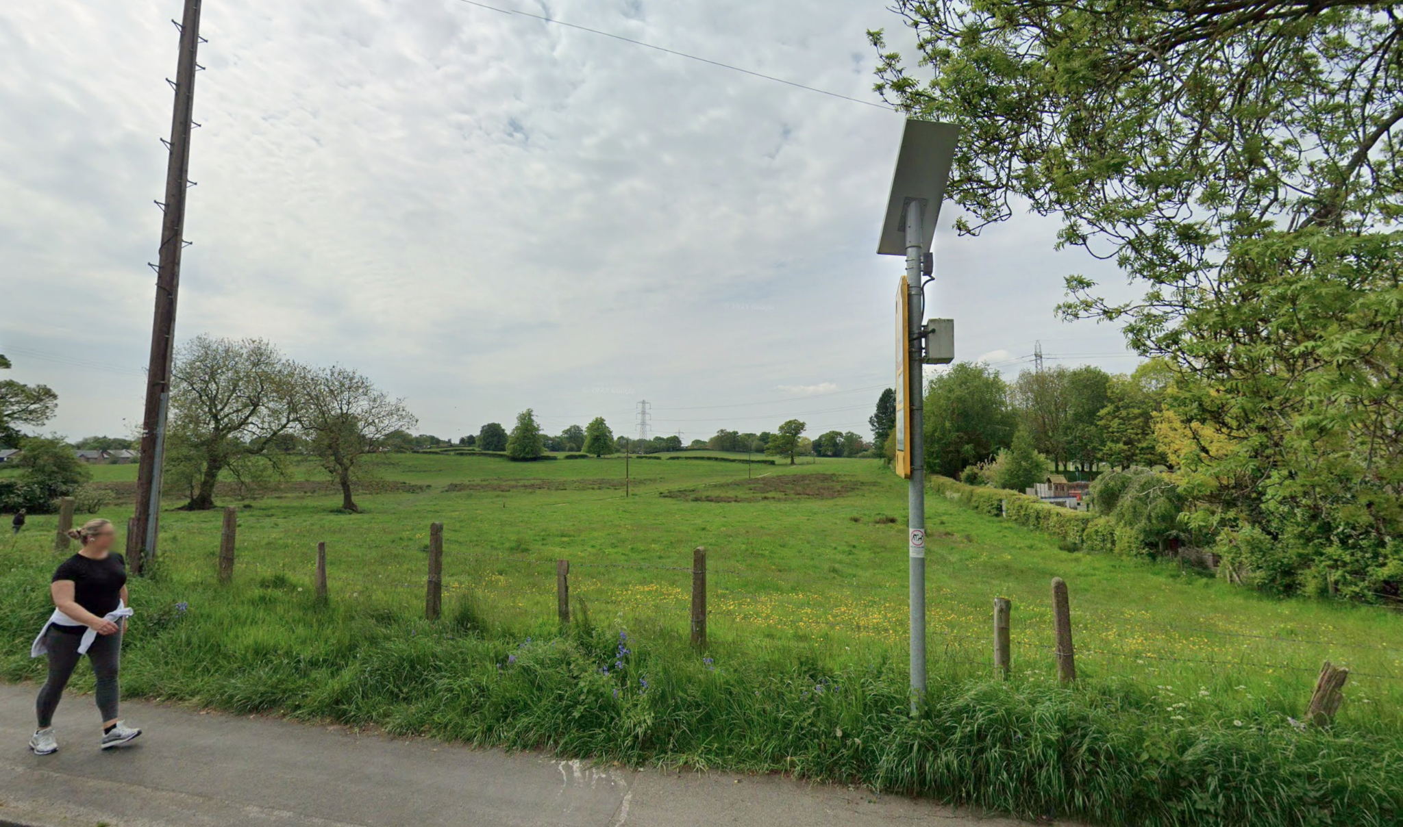 Open green fields and mature trees at Greenside